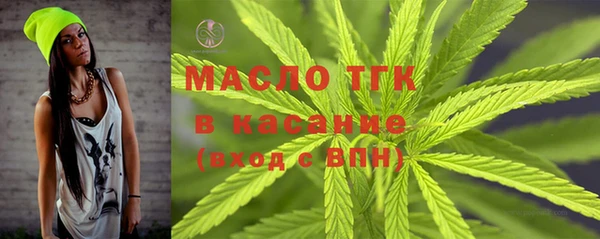 тгк Вяземский